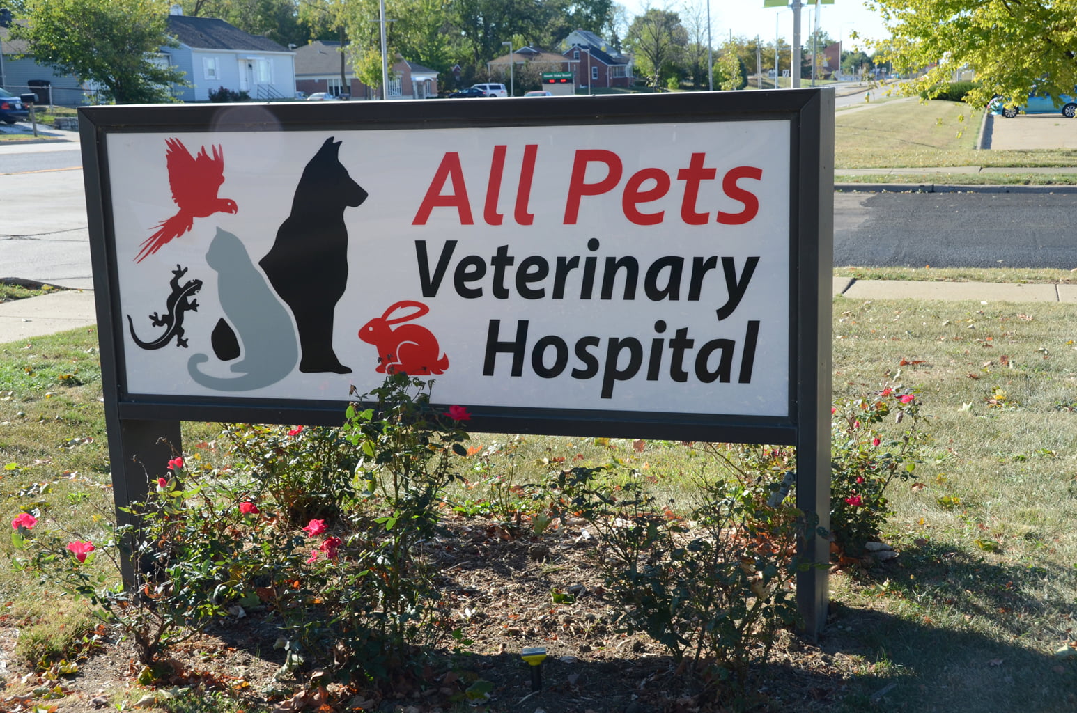Veterinarian in Peoria, IL | Local Vet | Veterinary Hospital